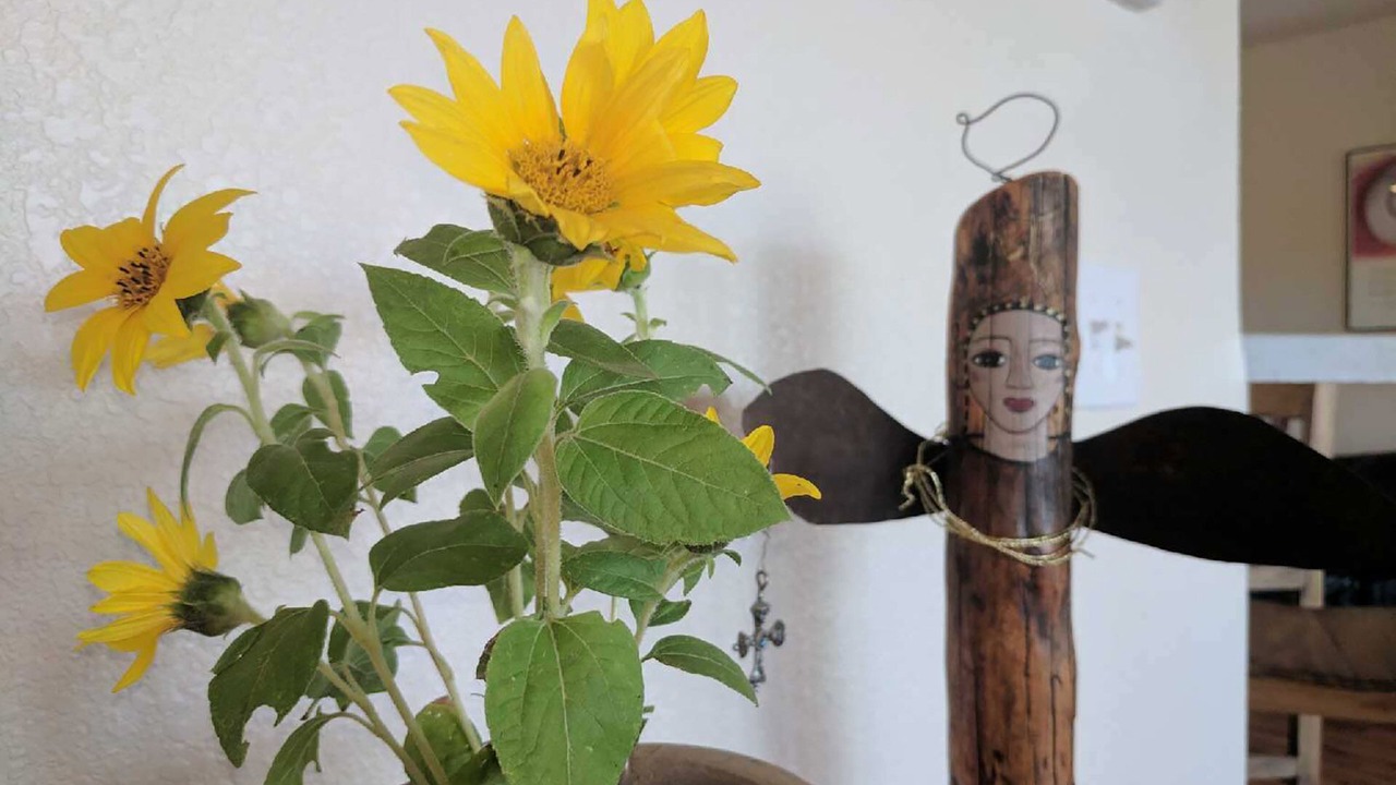 Photo of Others in La Cienaga