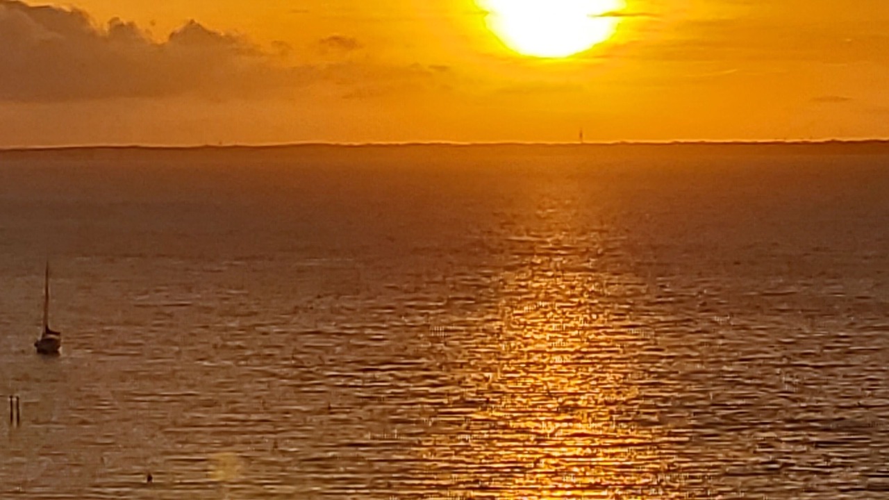 Photo of Others in Pensacola Beach