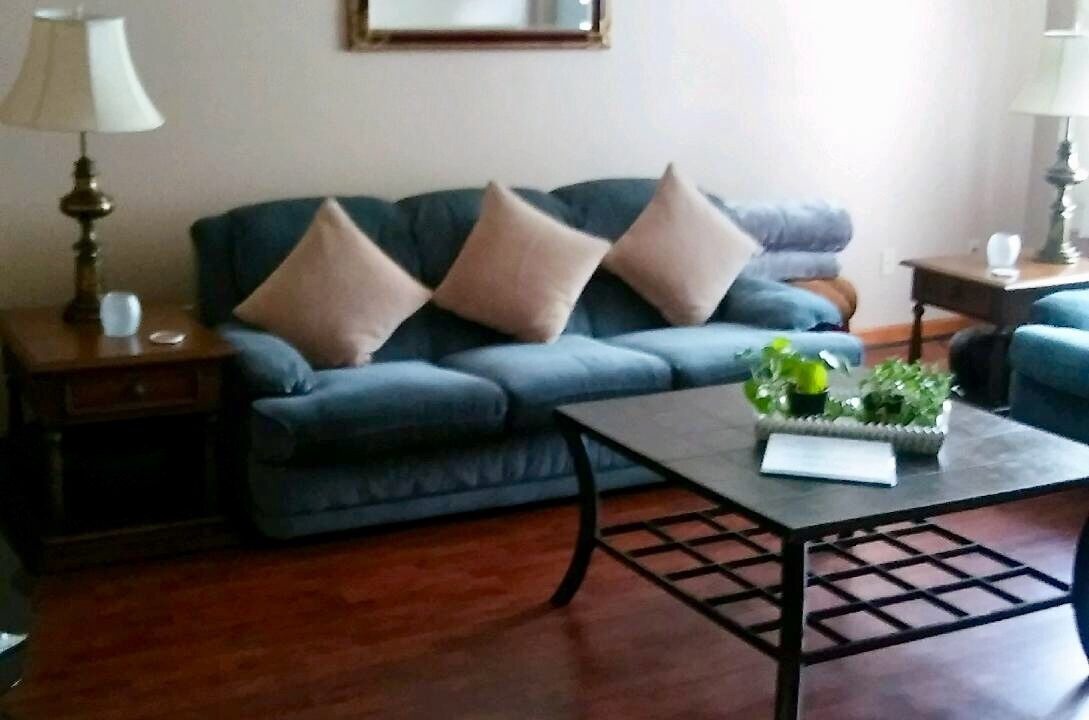 Photo of Livingroom in McKownville