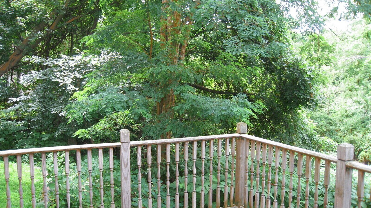 Photo of Others in McKownville