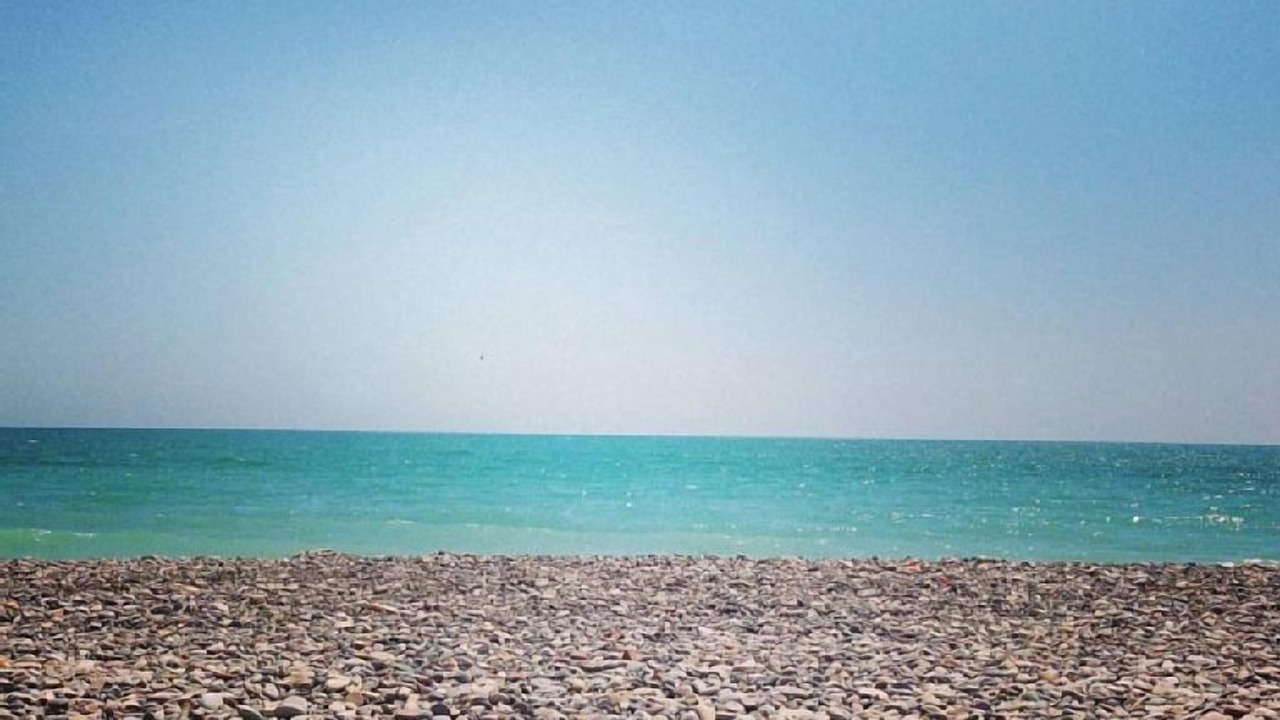 Photo of Others in Playa de Almarda