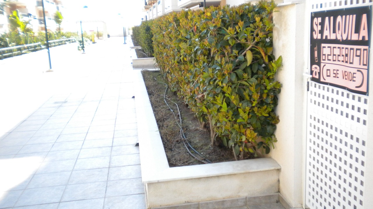 Photo of Outdoor in Playa de Almarda