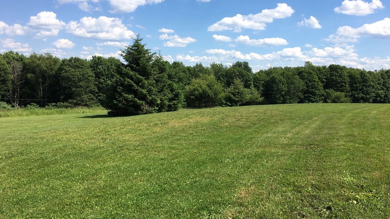 Photo of Others in Milford