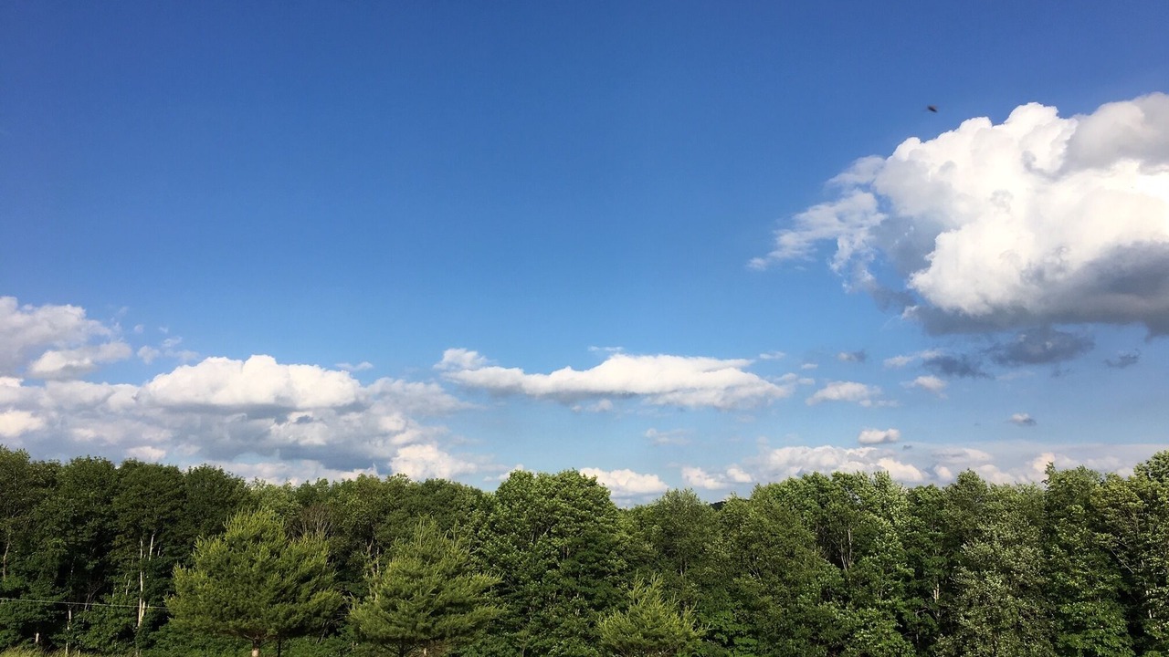 Photo of Outdoor in Milford