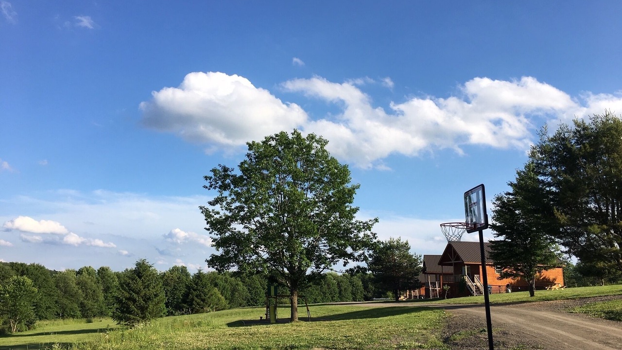 Photo of Others in Milford