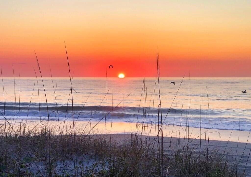Photo of Others in North Carolina Coast