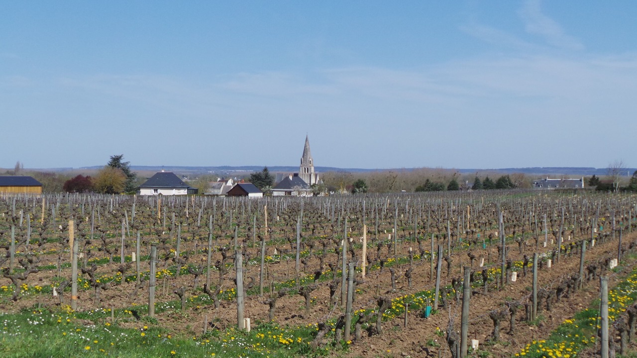 Photo of Others in Noyant-Villages