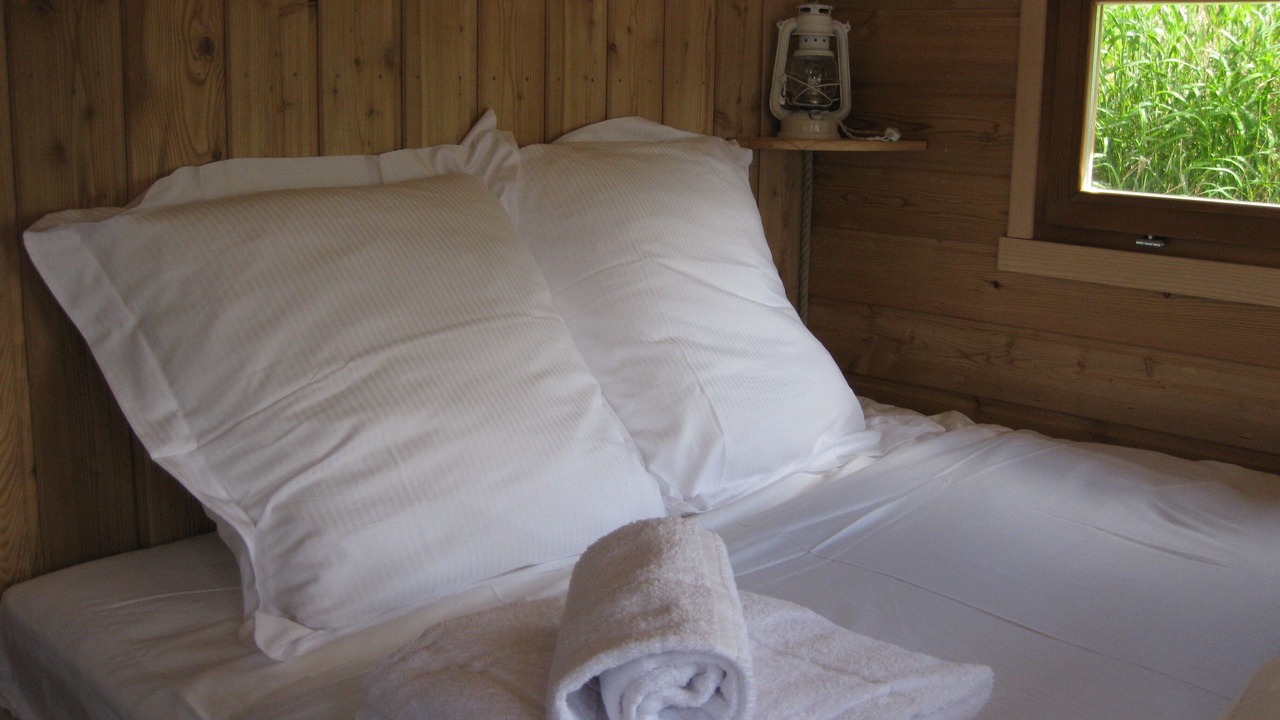 Photo of Bedroom in La Chapelle-aux-Naux