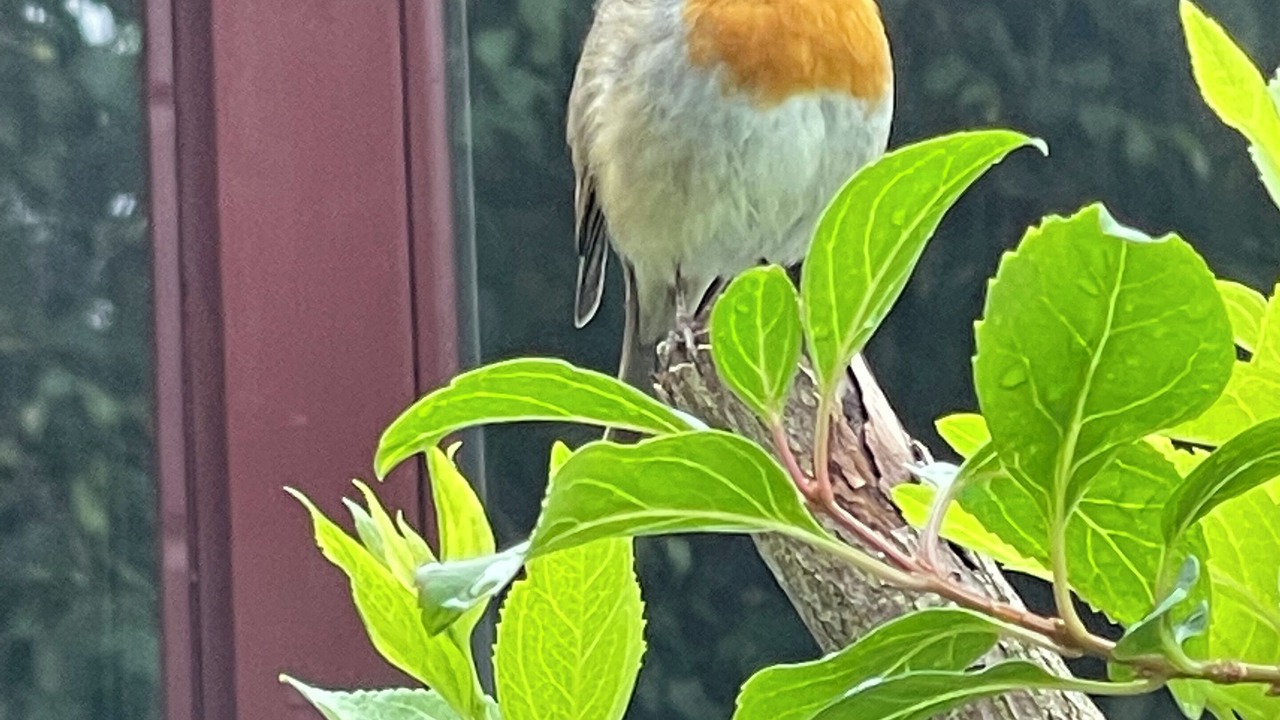 Photo of Outdoor in Grantown-on-Spey