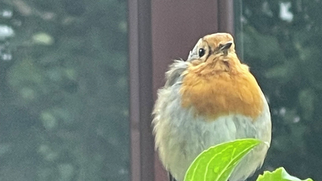 Photo of Outdoor in Grantown-on-Spey