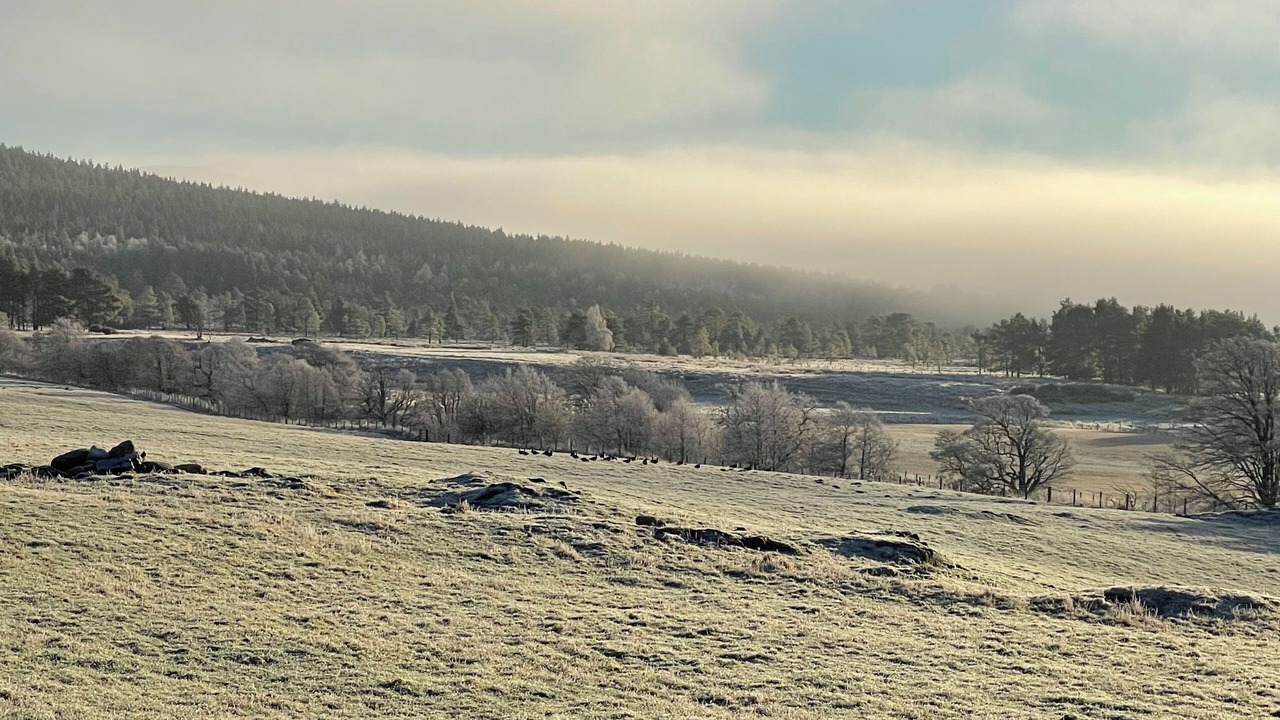 Photo of Others in Grantown-on-Spey