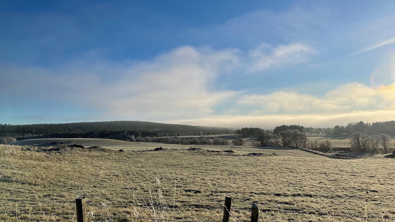 Photo of Others in Grantown-on-Spey