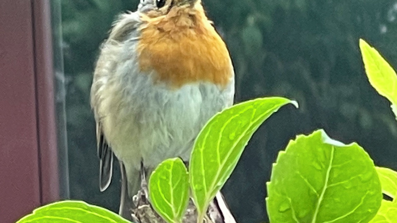 Photo of Outdoor in Grantown-on-Spey