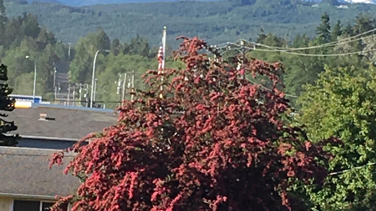 Photo of Others in Carlsborg