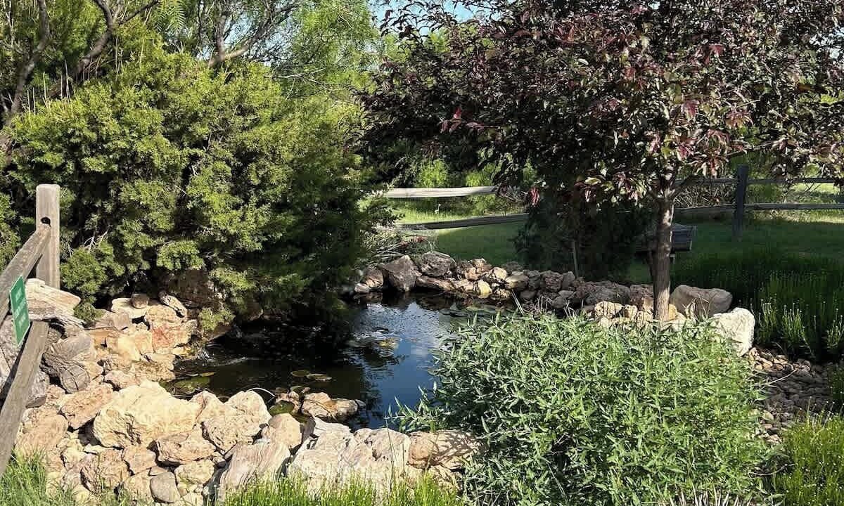 Photo of Outdoor in Canyon