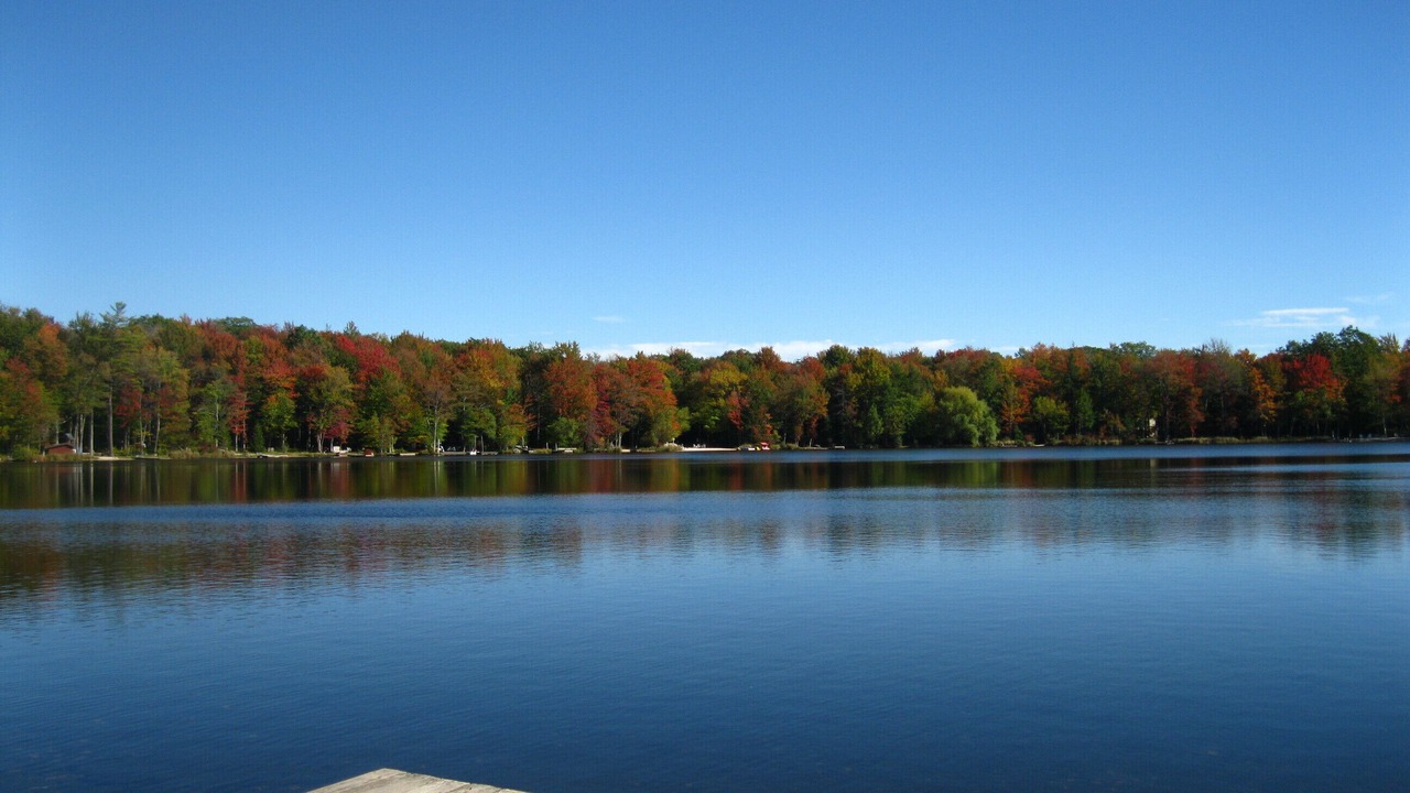 Photo of Others in Locust Lake Village