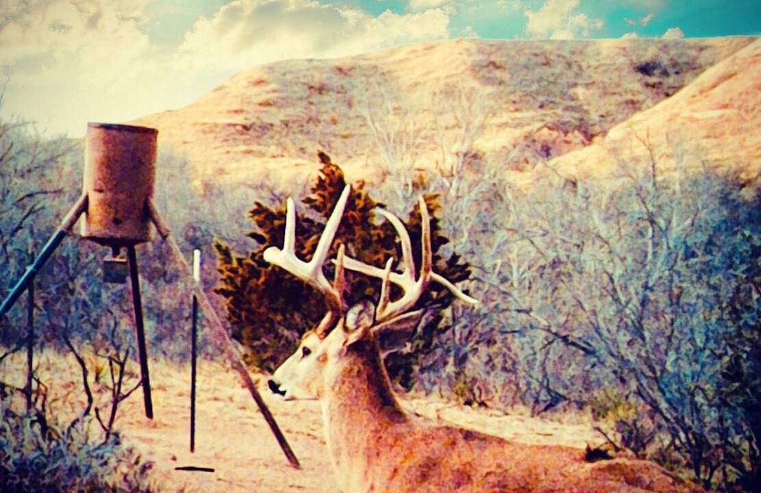 Photo of Outdoor in Slaton