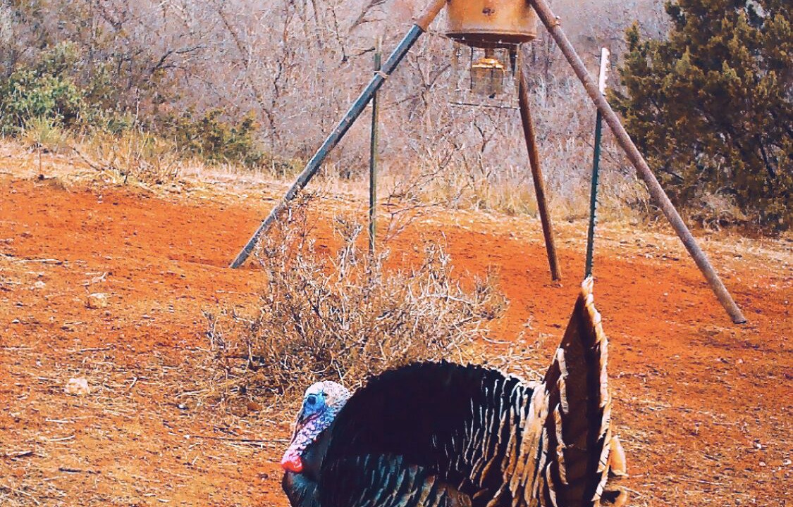 Photo of Others in Slaton