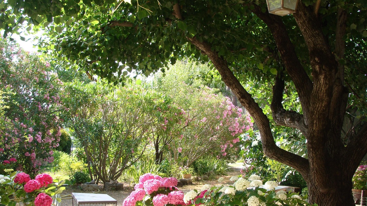 Photo of Outdoor in Saint-Saturnin-les-Avignon
