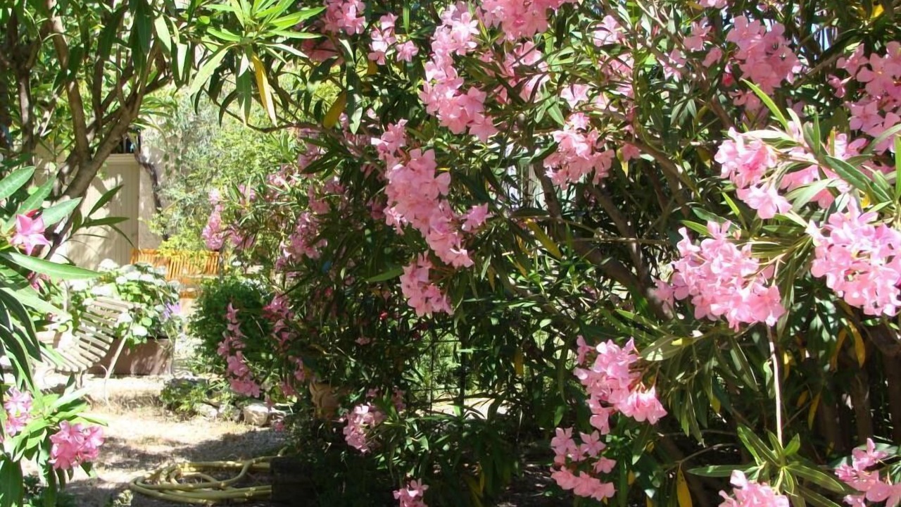 Photo of Outdoor in Saint-Saturnin-les-Avignon