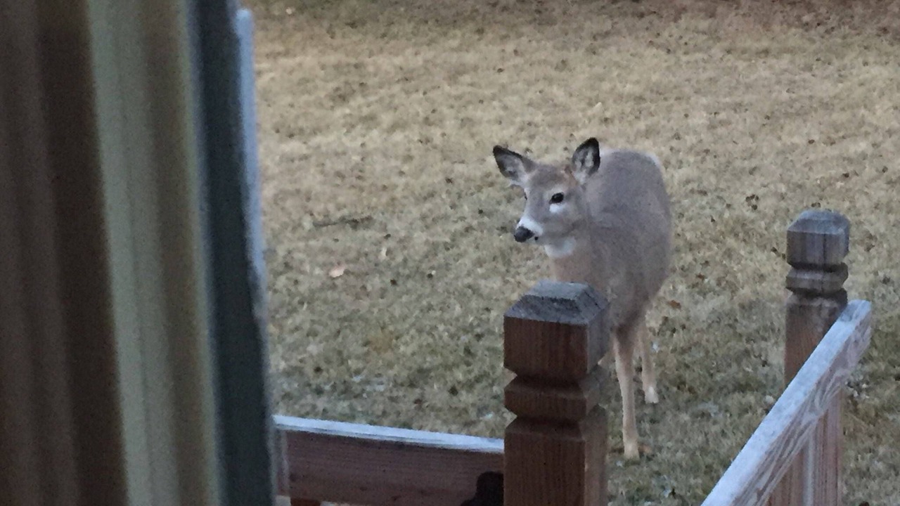 Photo of Others in Custer