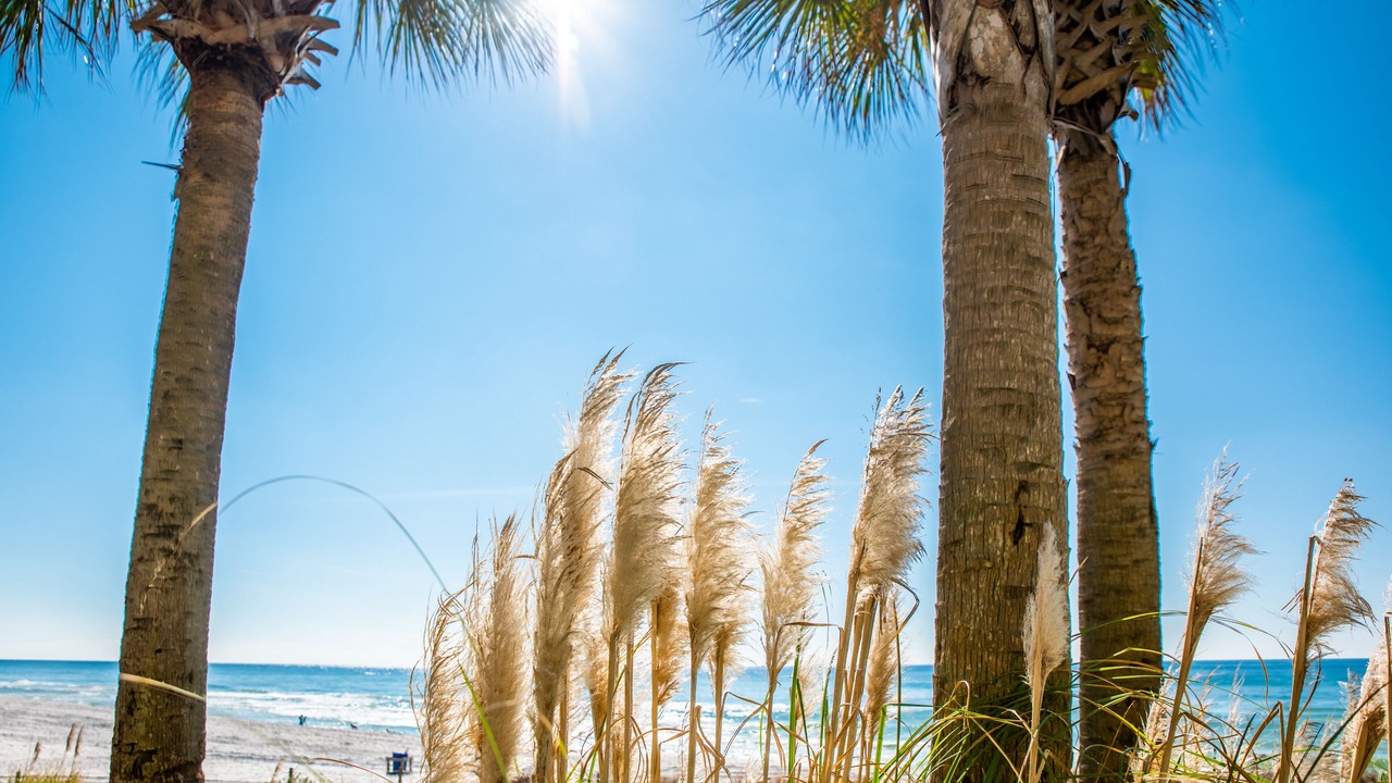 Photo of Others in Panama City Beach