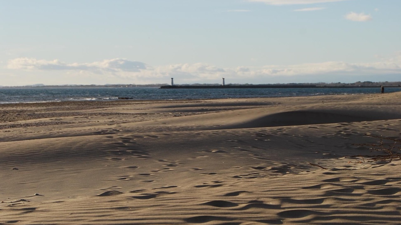 Photo of Others in Le Grau-dʼAgde