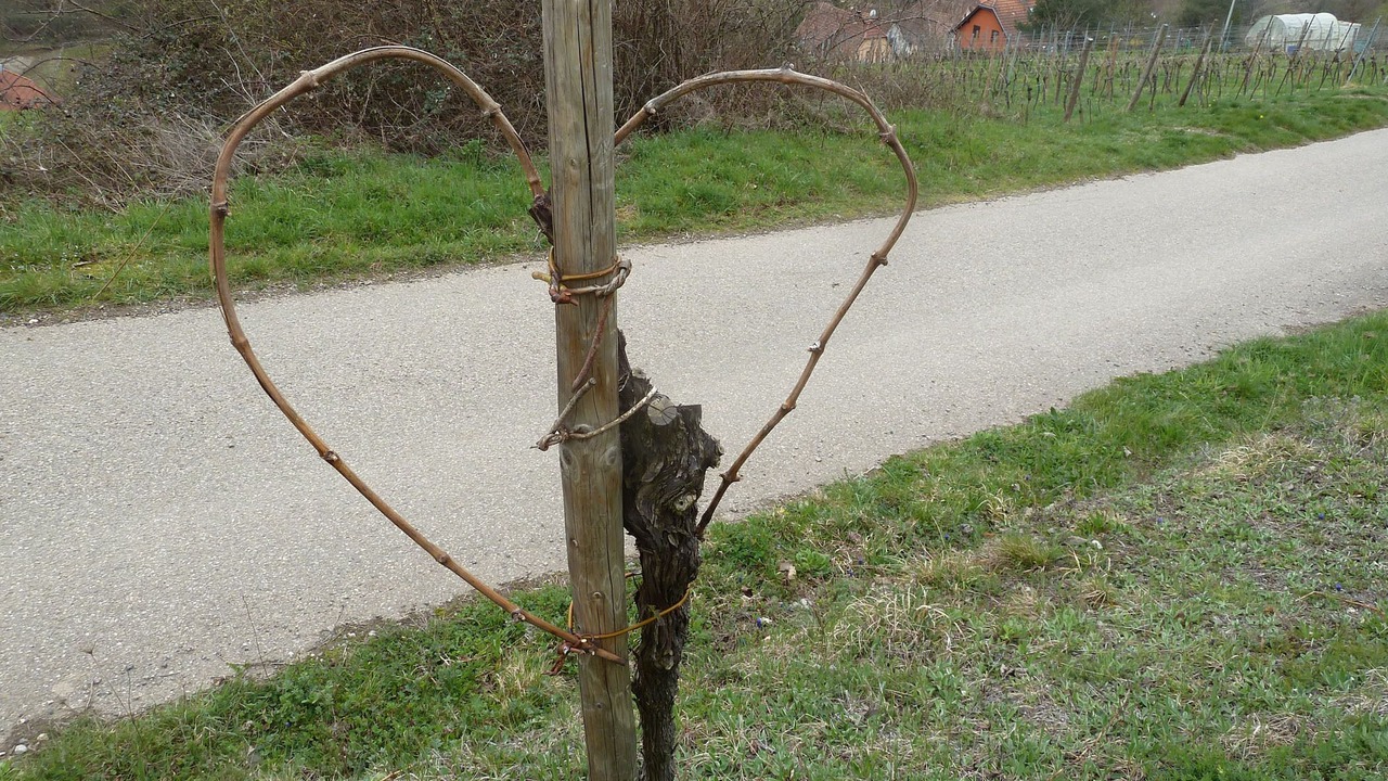 Photo of Outdoor in Epfig