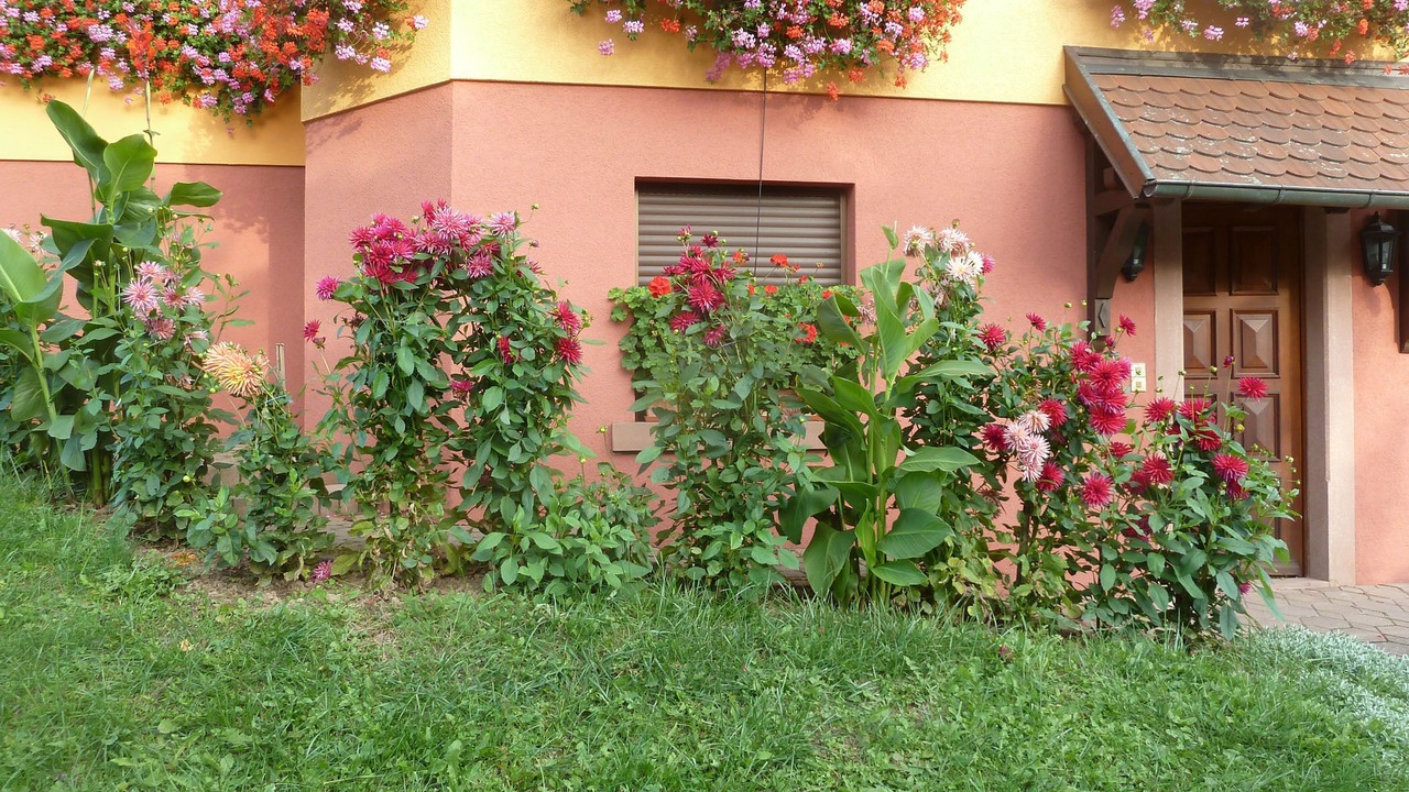 Photo of Outdoor in Epfig