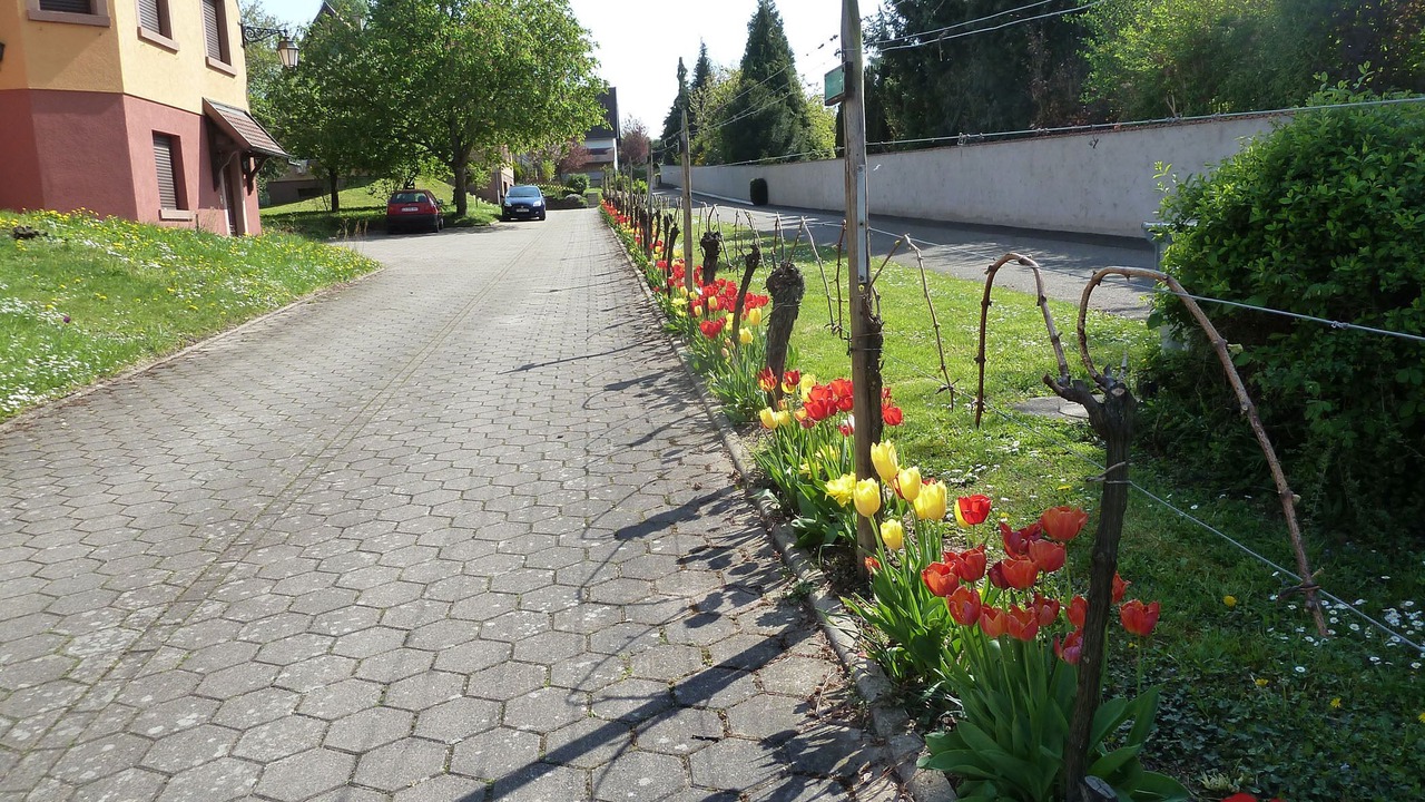 Photo of Outdoor in Epfig