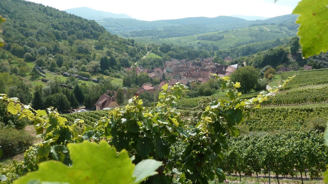 Photo of Outdoor in Epfig