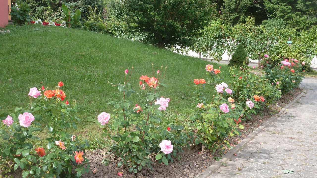 Photo of Outdoor in Epfig