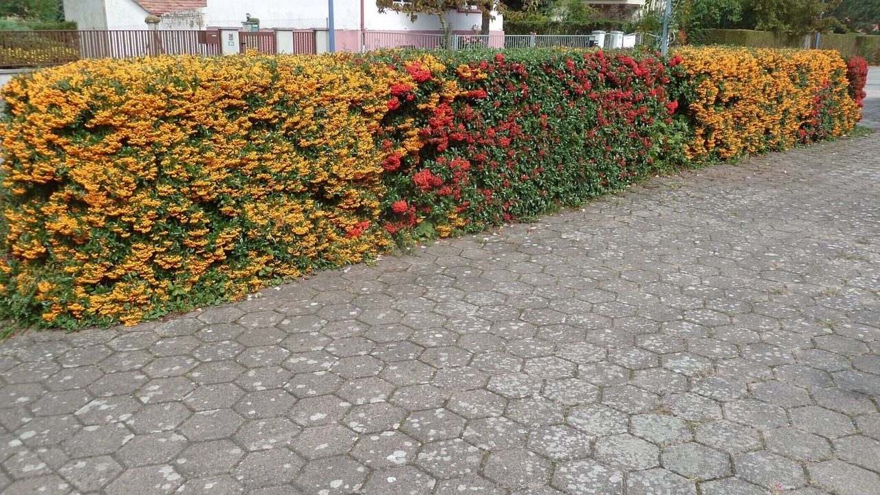 Photo of Outdoor in Epfig