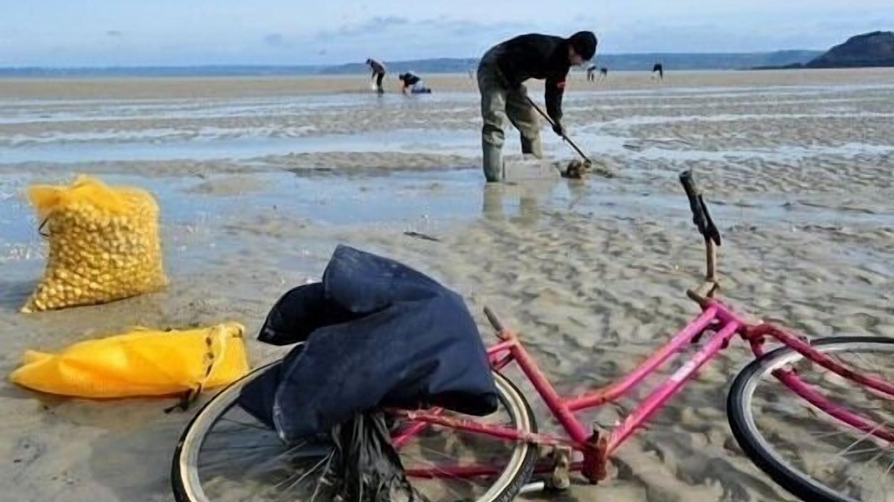 Photo of Others in Benodet