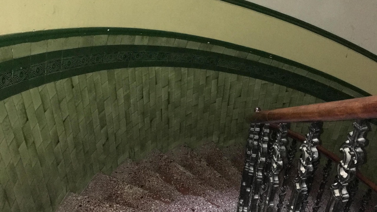 Photo of Others in Marchmont