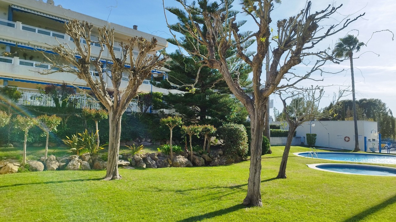 Photo of Outdoor in Tamarit