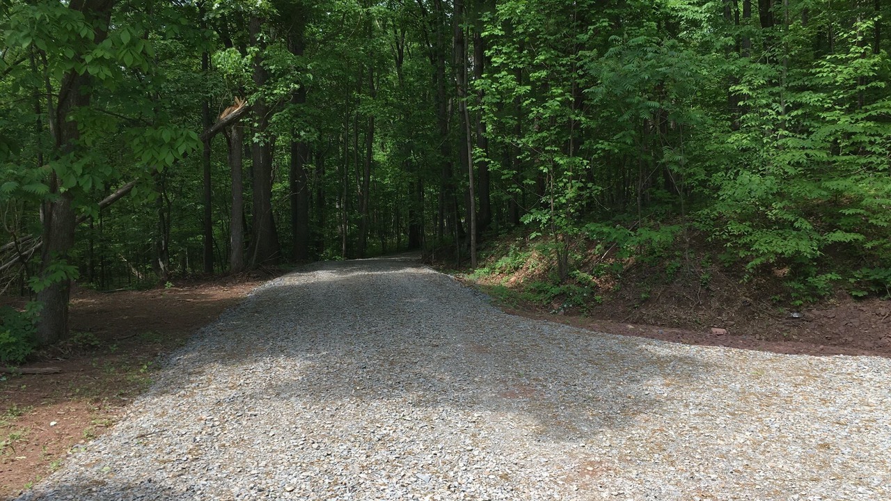 Photo of Others in Halifax