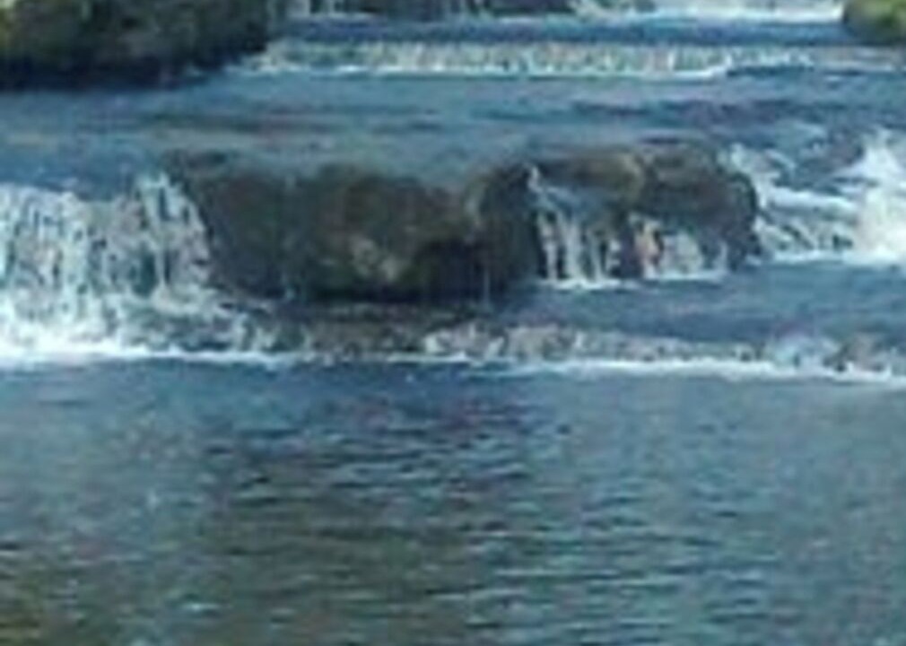 Photo of Others in Wolsingham