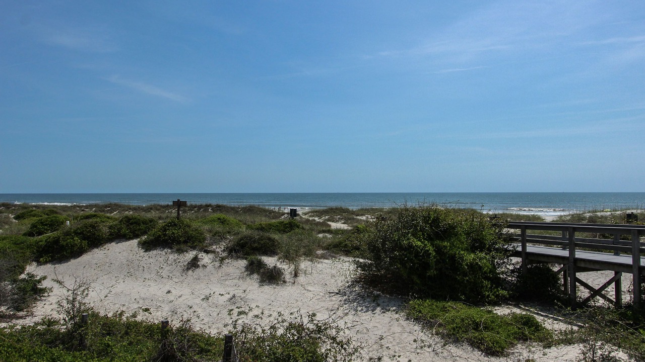 Photo of Others in Amelia City