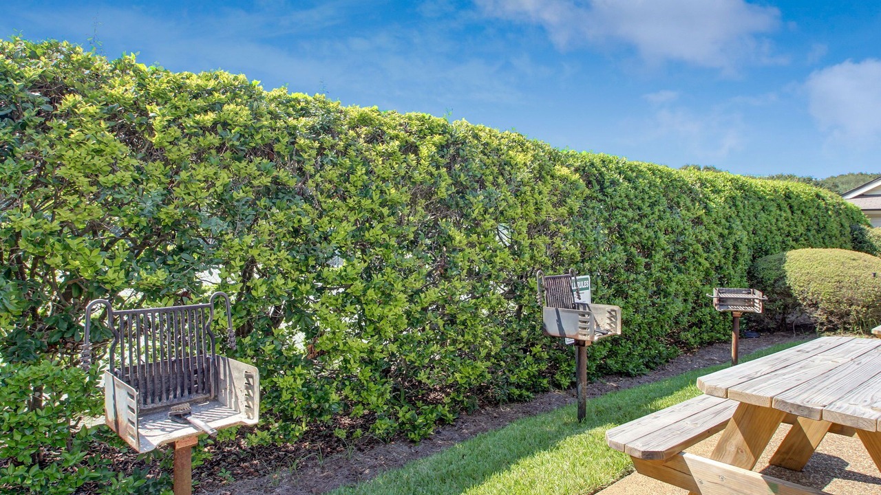 Photo of Others in Amelia City