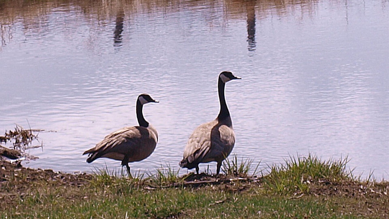 Photo of Others in Polson