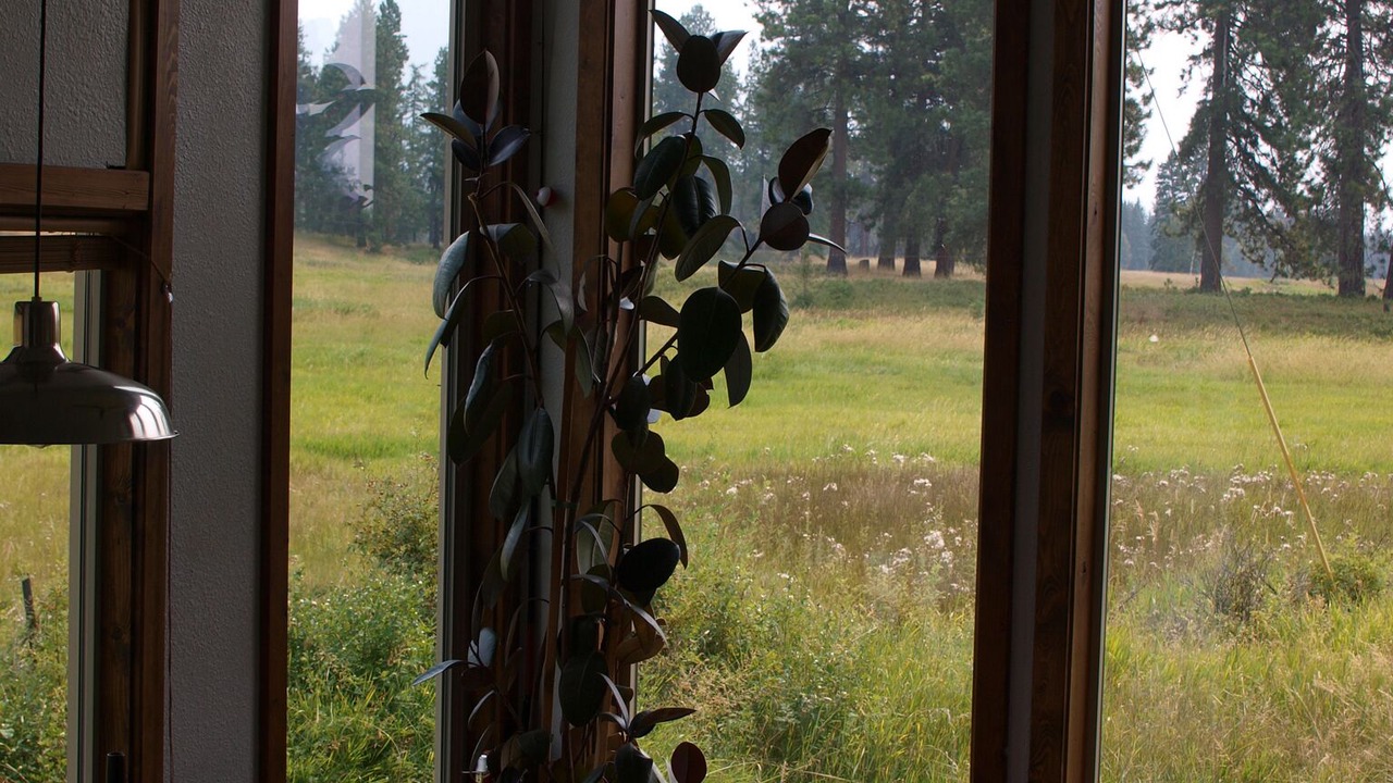 Photo of Others in Polson