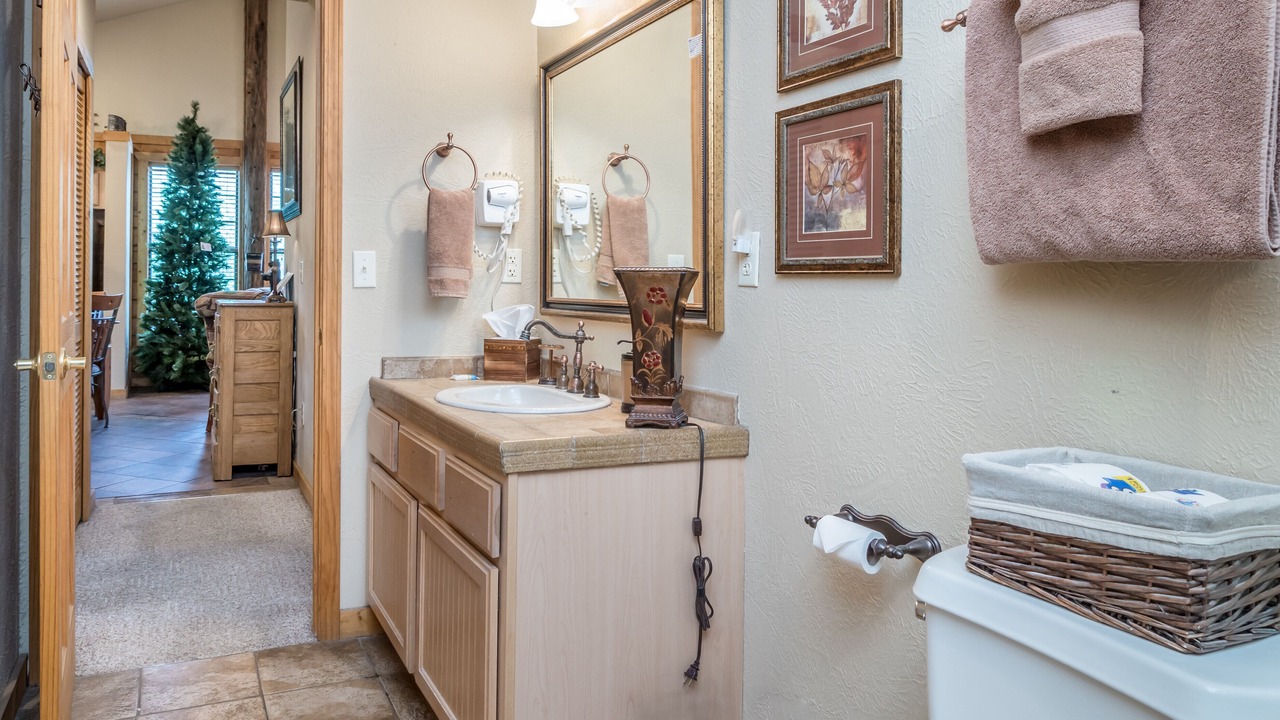 Photo of Bathroom in Branson Theater District