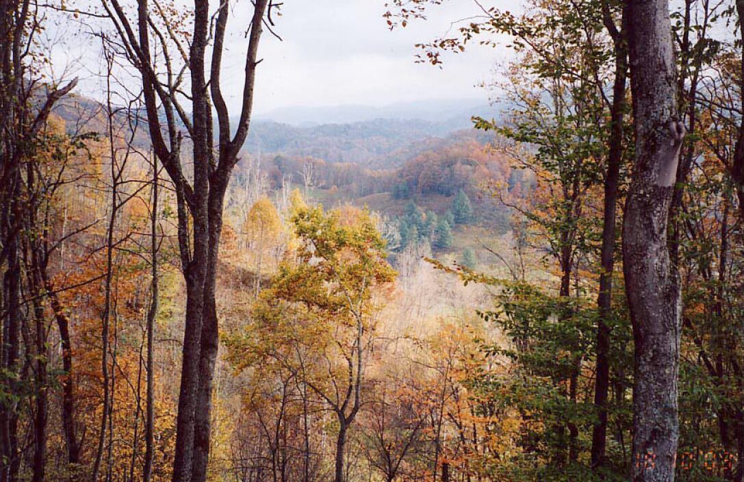 Photo of Others in Vilas
