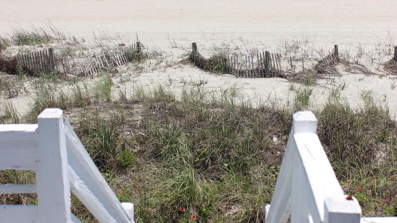 Photo of Others in Surfside Beach