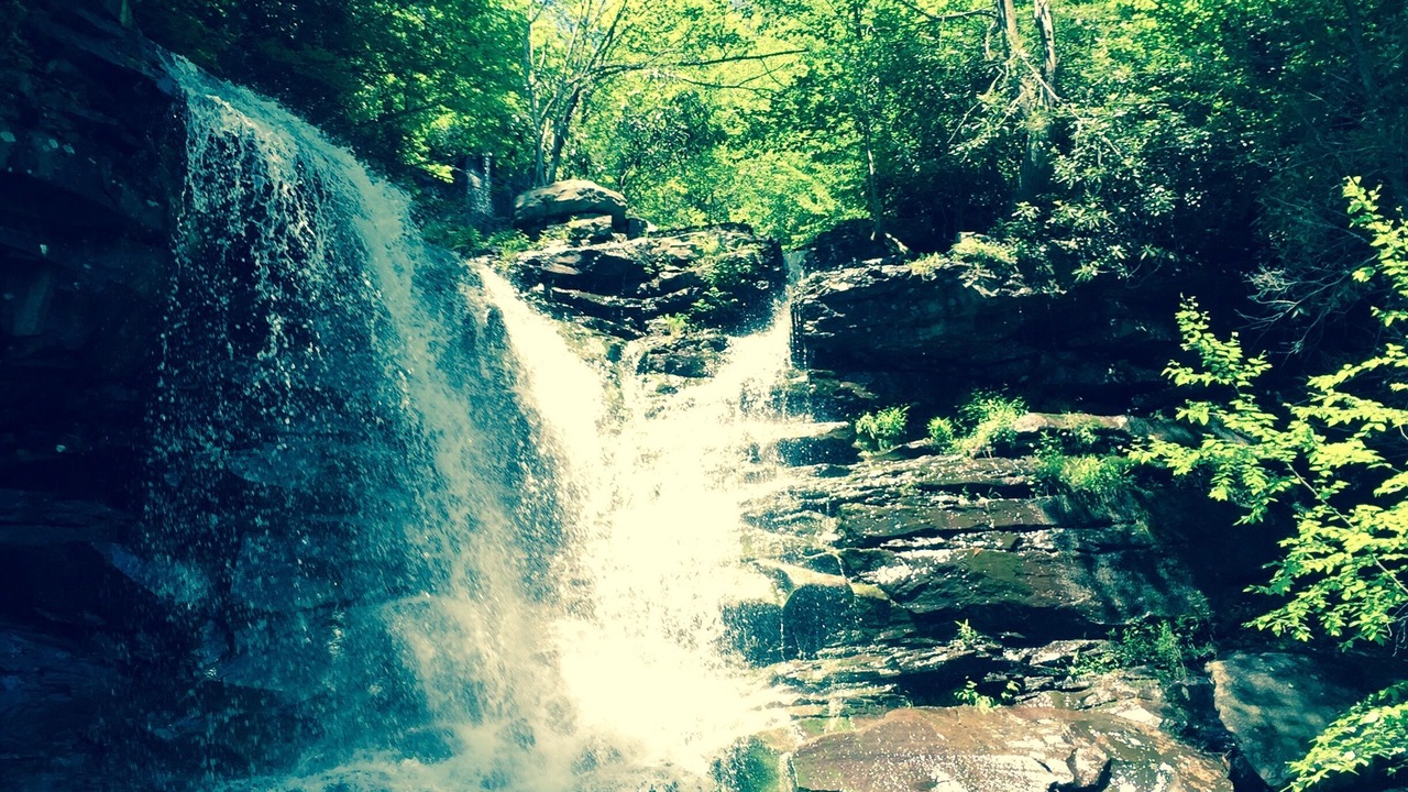 Photo of Others in Ashfield