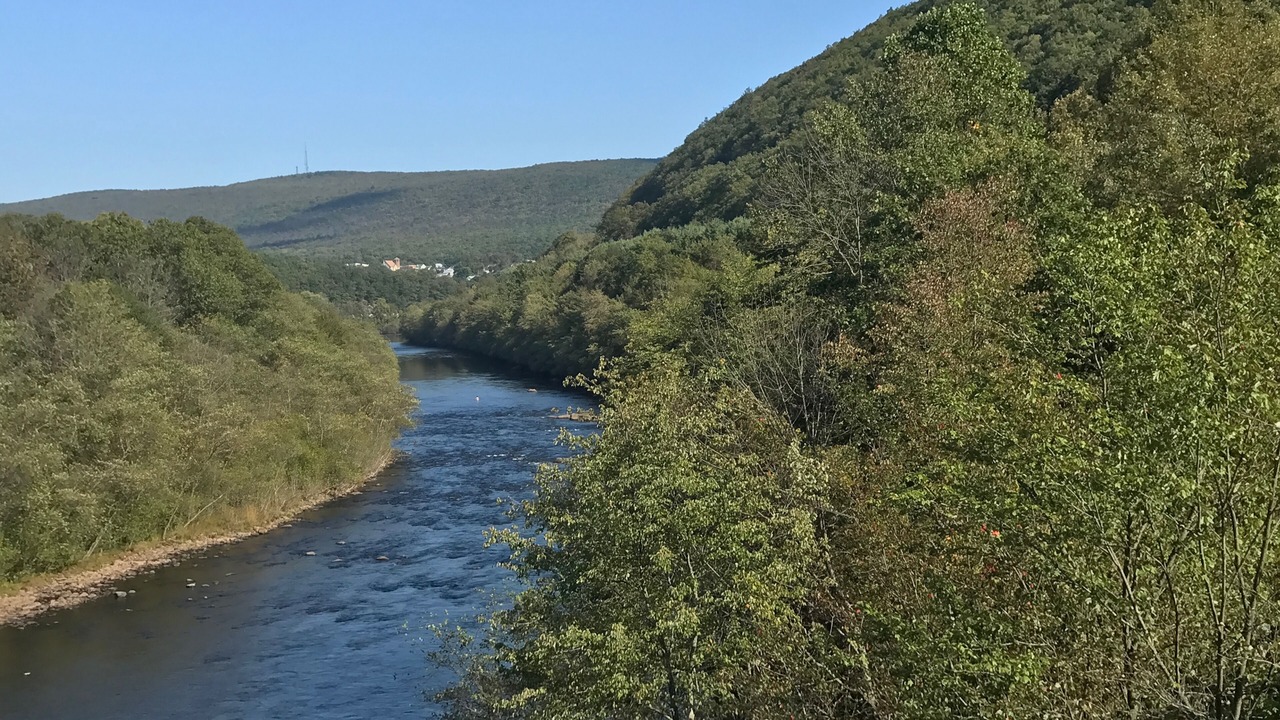 Photo of Others in Ashfield