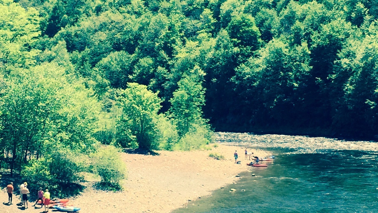 Photo of Others in Ashfield