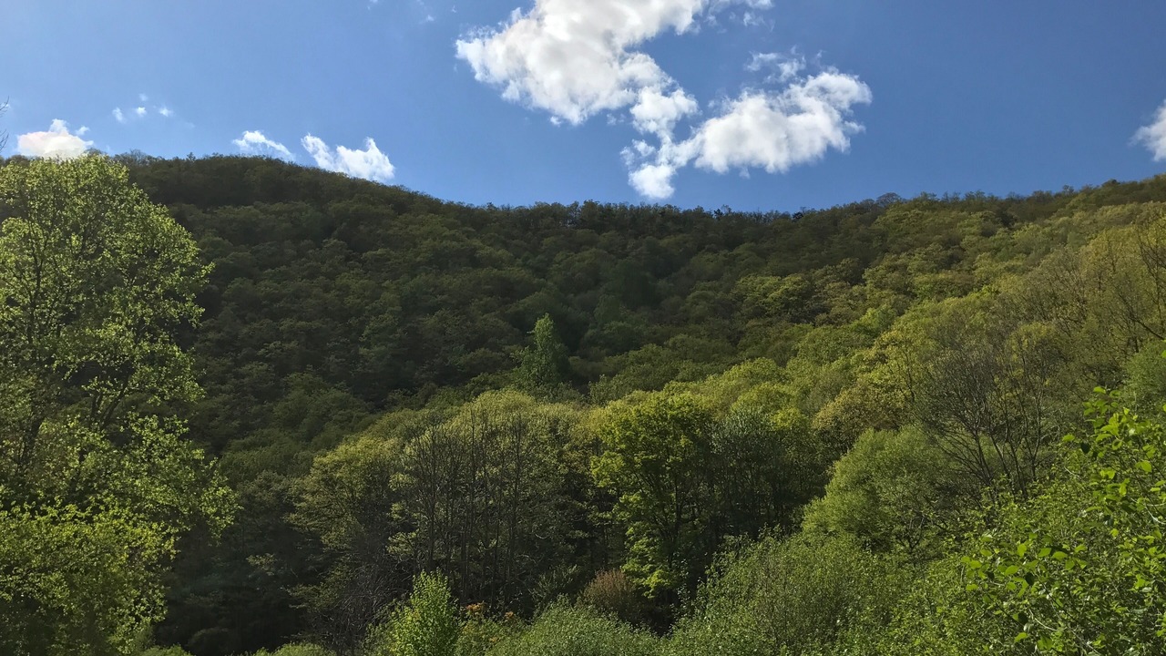 Photo of Others in Ashfield