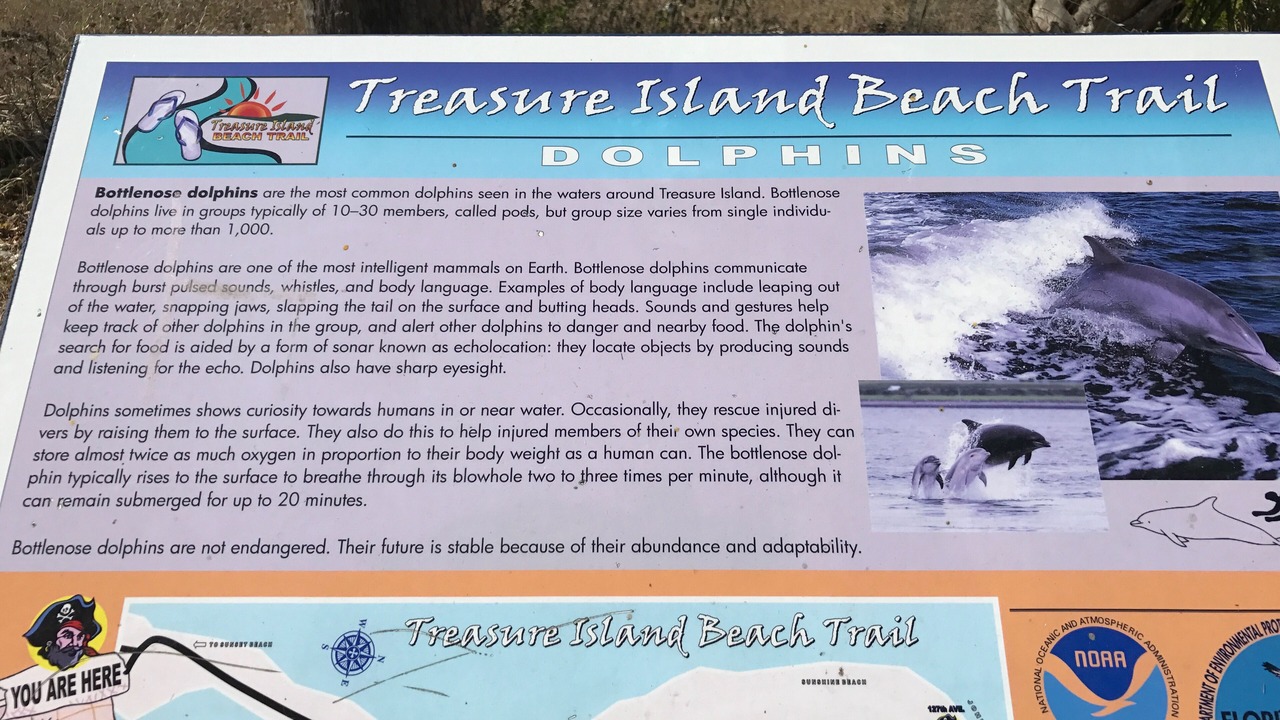 Photo of Others in Treasure Island